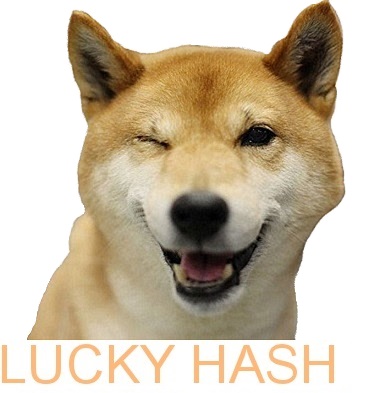 Dogecoin LuckyHash Afterche